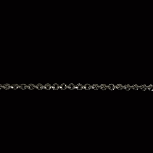 Chain: Stainless Steel Rolo 2mm