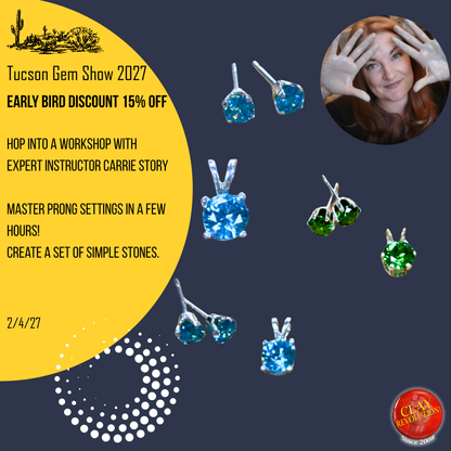 Bling in a Blink with Carrie Story 2-4-27 Tucson