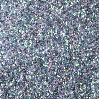 Fine Glitter Variety Pack (Set of 55)