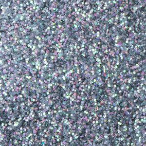 Fine Glitter Variety Pack (Set of 55)