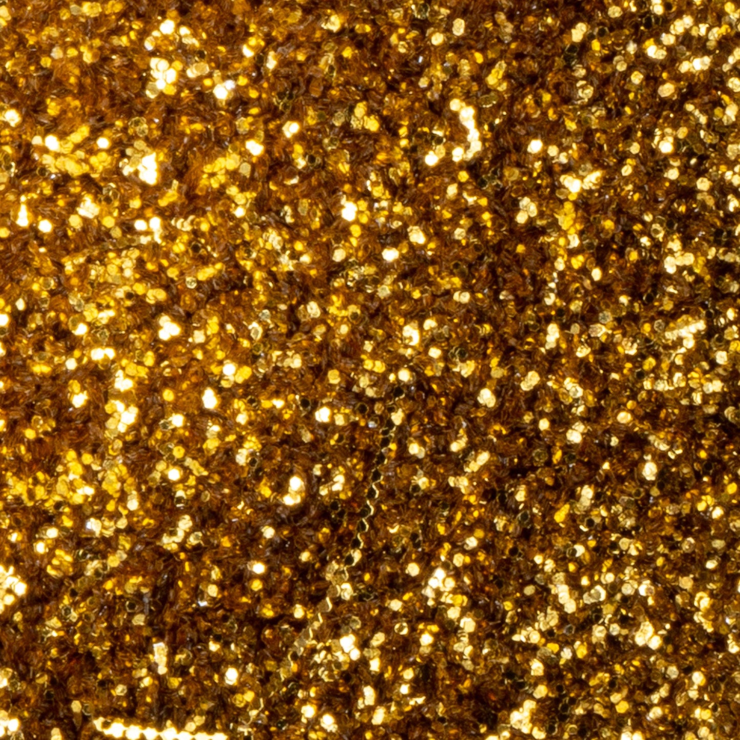 Fine Glitter Variety Pack (Set of 55)
