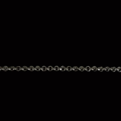 Chain: Stainless Steel Rolo 2mm