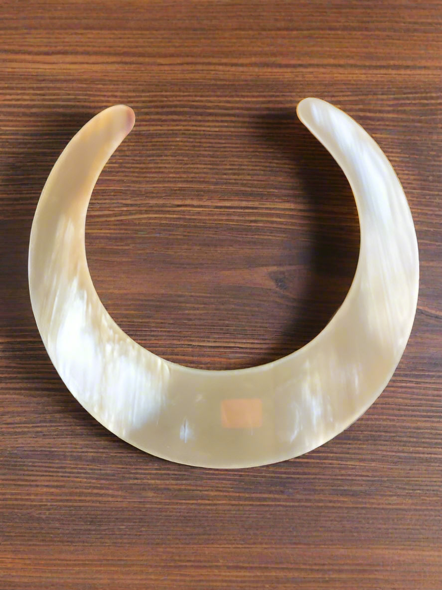 Horn Necklace Choker
