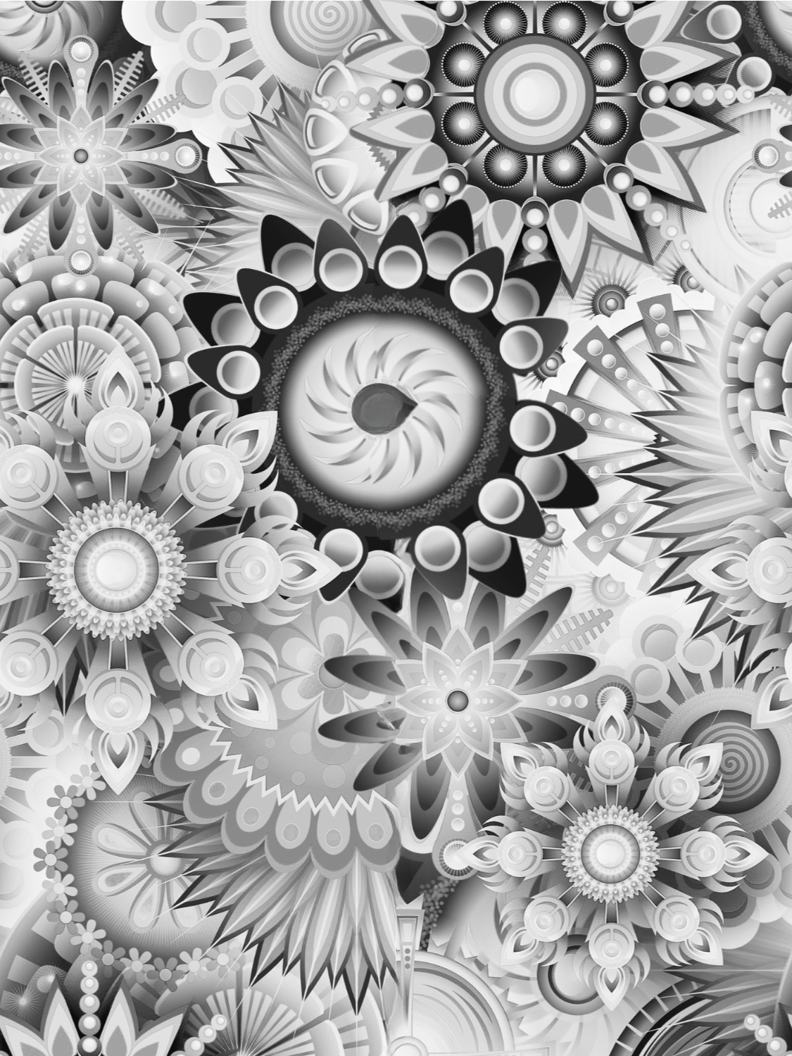 Project X Hot Rollers Cultural Set