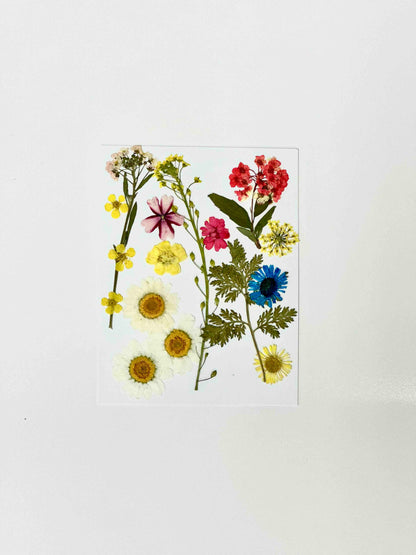 UV Resin Starter Kit - Clay Revolution