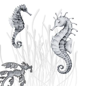 Project X Hot Rollers Sealife Set