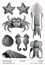 Laden Sie das Bild in den Galerie-Viewer, Sea Life Texture Sheet