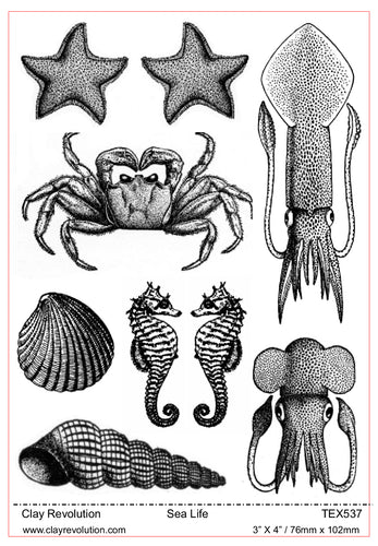 Sea Life Texture Sheet