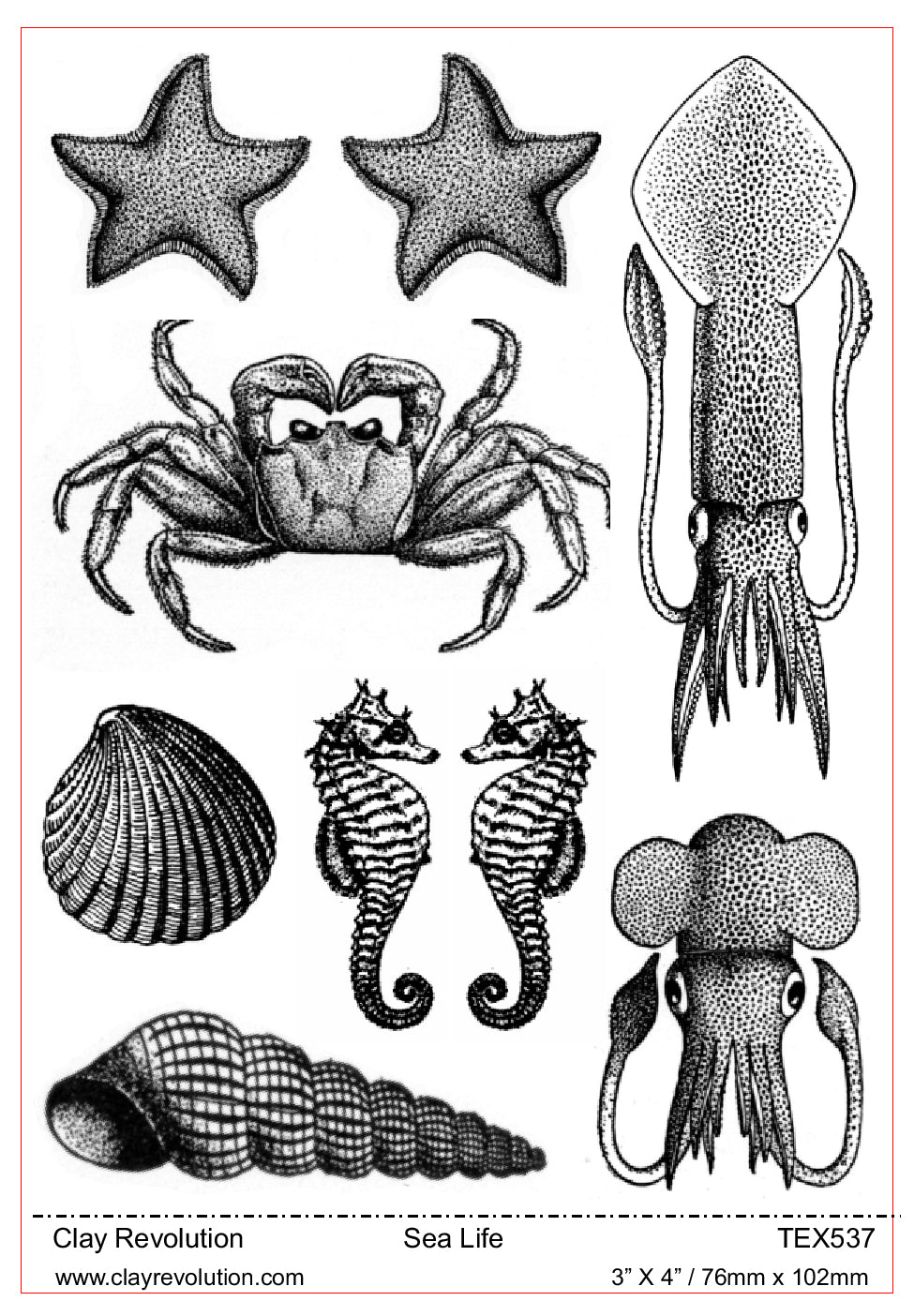 Sea Life Texture Sheet