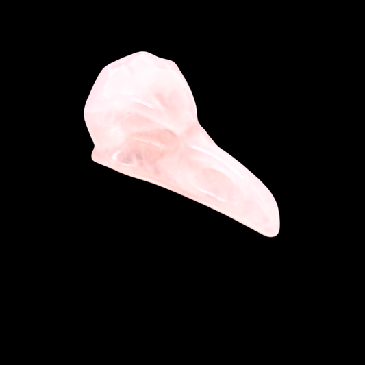 Hand Carved Stone Bird Skull Components