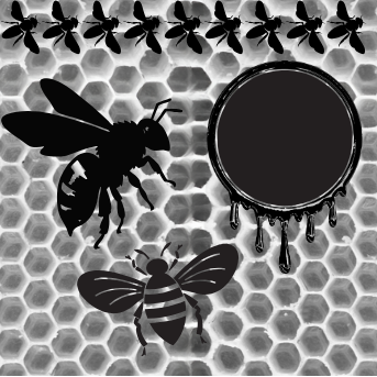 Project X Hot Rollers Bees