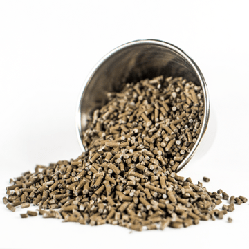 Bronze Filamet™ - Clay Revolution