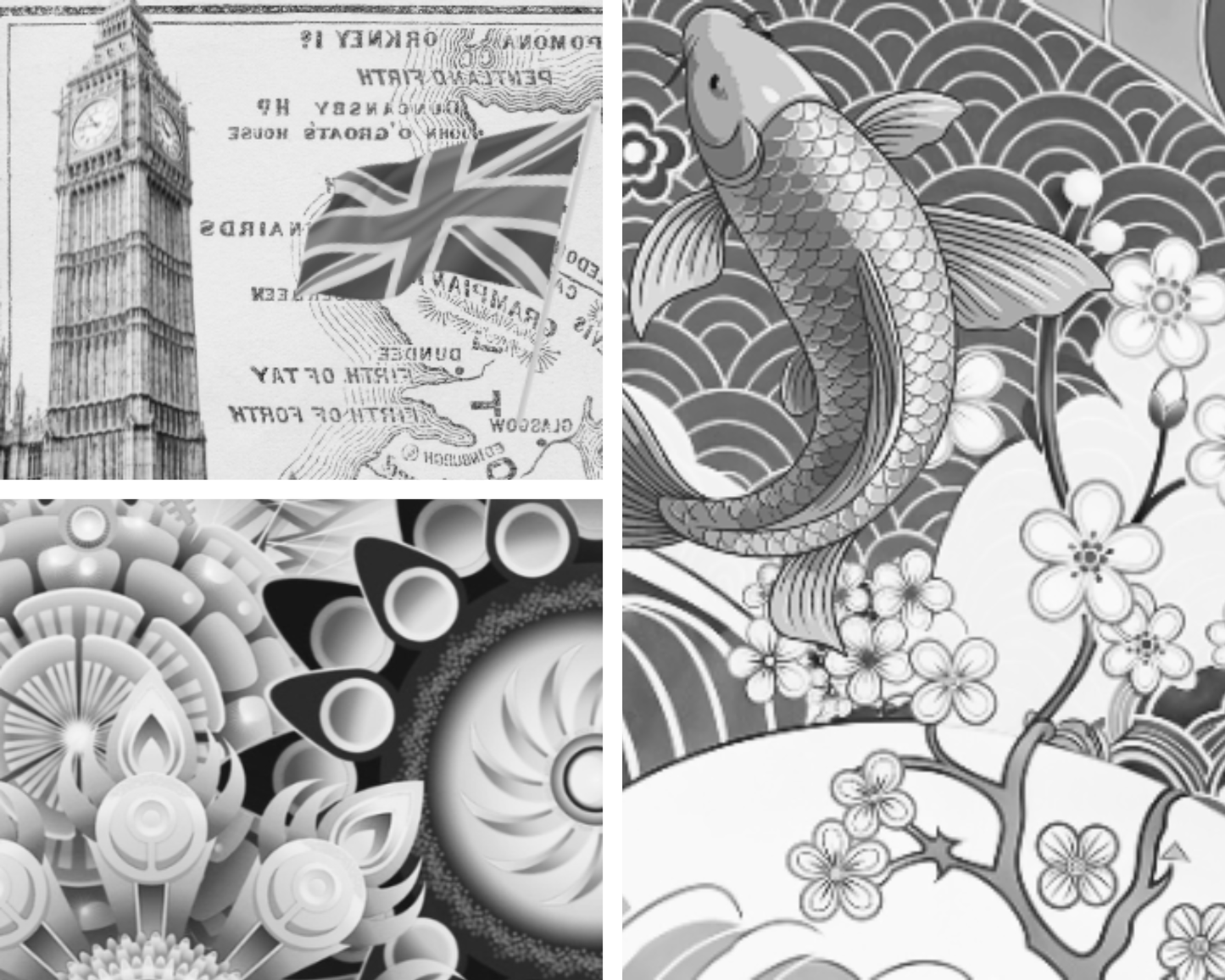 Project X Hot Rollers Cultural Set