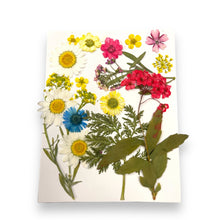 Carregar imagem no visualizador da galeria, Pressed Natural Mini Dried Flowers