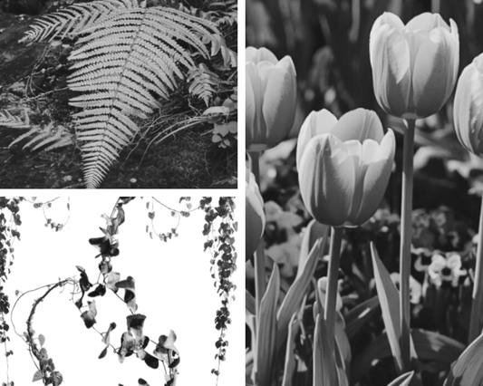 Project X Hot Rollers Flora Set