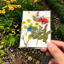 Carregar imagem no visualizador da galeria, Pressed Natural Mini Dried Flowers