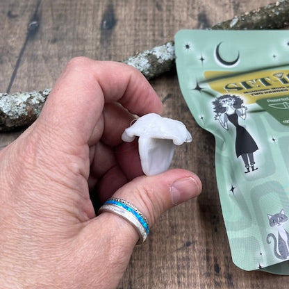 Set-it! Moldable Thermoplastic Work Holder for Engraving and Stone Setting - Clay Revolution