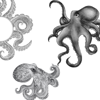 Project X Hot Rollers Sealife Set