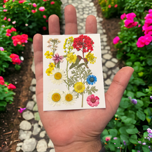 画像をギャラリービューアに読み込む, Pressed Natural Mini Dried Flowers