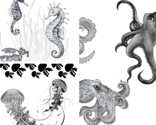 Project X Hot Rollers Sealife Set