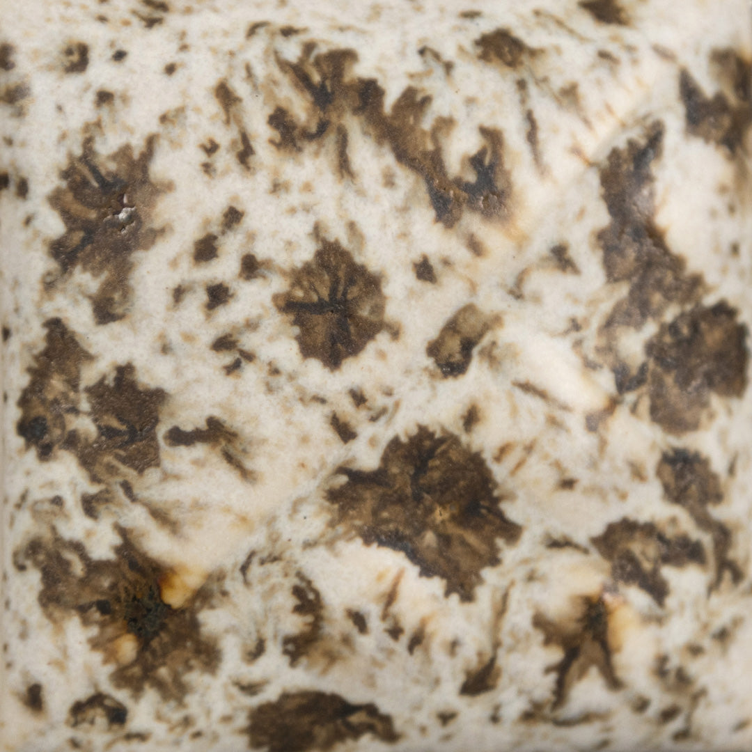 Mayco Glaze SW-155 Stoneware Winter Wood (16 fl oz) - Clay Revolution