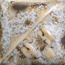 Load image into Gallery viewer, Mayco Glaze SW-155 Stoneware Winter Wood (16 fl oz)