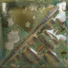 Cargar imagen en el visor de la galería, Mayco Glaze SW-193 Stoneware Ivy (16 fl oz)