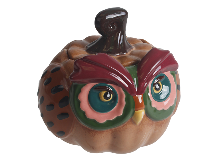 Owl Pumpkin Container