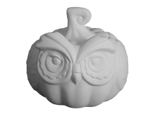 Load image into Gallery viewer, Owl Pumpkin Container
