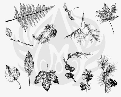 Botanical Leaves Silkscreen
