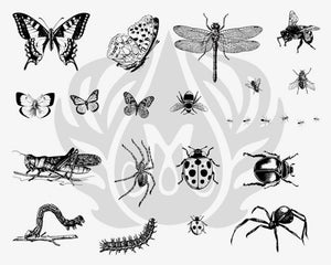 Serigrafía de insectos